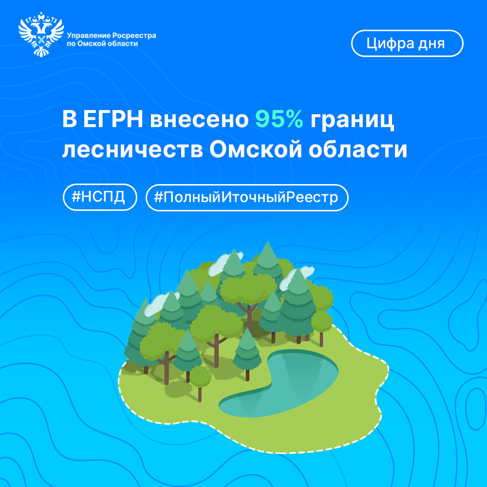 В ЕГРН внесено 95 % границ лесничеств Омской области.